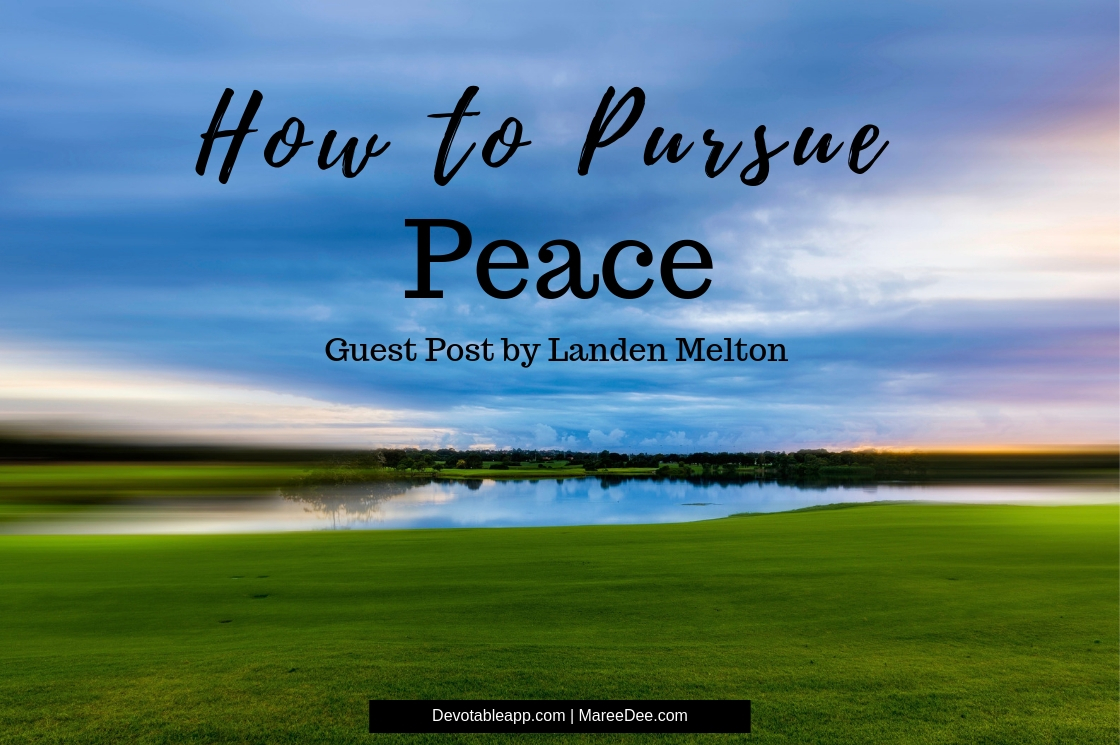 how-to-pursue-peace-without-the-details-guest-post-by-landen-melton